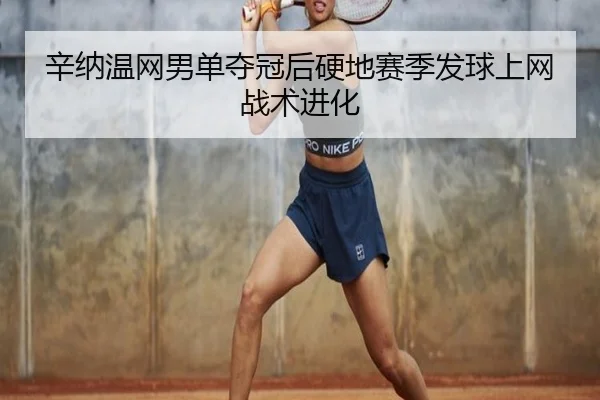 xin-na-wen-wang-nan-dan-duo-guan-hou-ying-di-sai-ji-fa-qiu-shang-wang-zhan-shu-jin-hua-3-614.jpg