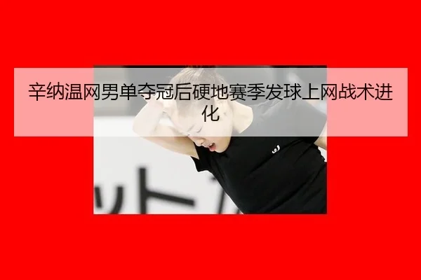 xin-na-wen-wang-nan-dan-duo-guan-hou-ying-di-sai-ji-fa-qiu-shang-wang-zhan-shu-jin-hua-1-715.jpg