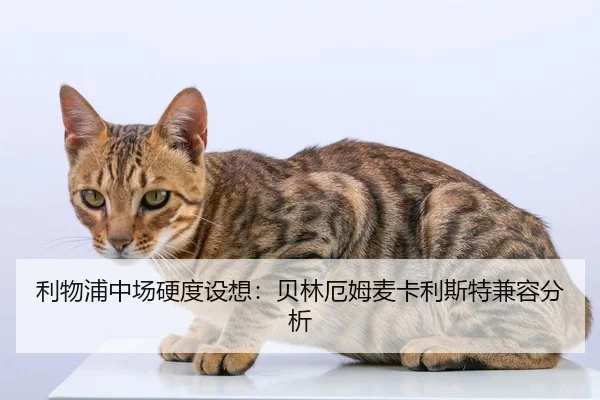 li-wu-pu-zhong-chang-ying-du-she-xiang-bei-lin-e-mu-mai-ka-li-si-te-jian-rong-fen-xi-2-186.jpg