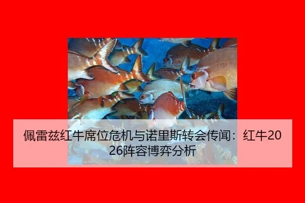 pei-lei-zi-hong-niu-xi-wei-wei-ji-yu-nuo-li-si-zhuan-hui-chuan-wen-hong-niu-zhen-rong-bo-yi-fen-xi-2-928.jpg